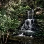 Giardino Botanico Zilker con Cascate