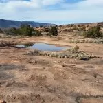 Riserve d’acqua nel Deserto